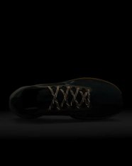 Кроссовки беговые Nike Pegasus Trail 4 GORE-TEX FD0317-333