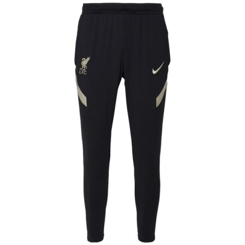 Тренувальні штани Nike Liverpool FC Strike Knit Pants DB0243-010