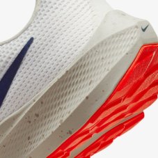 Кросівки бігові Nike Pegasus 40 DV3853-100