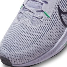 Кросівки бігові Nike Pegasus 40 DV3853-500