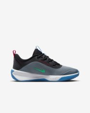 Кросівки дитячі Nike Omni Multi-Court DM9027-006