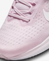 Кросівки бігові жіночі Nike Winflo 10 DV4023-600