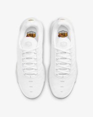 Кроссовки женские Nike Air Max Plus DM2362-100