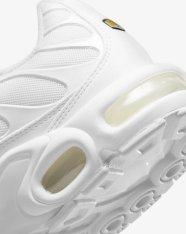 Кроссовки женские Nike Air Max Plus DM2362-100