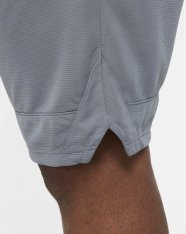 Шорты баскетбольные Nike Dri-FIT Icon AJ3914-065