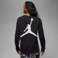 Реглан Jordan Dri-FIT Sport Graphic DV8446-010