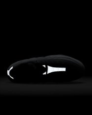 Кроссовки Nike Air Max 95 FJ4217-001