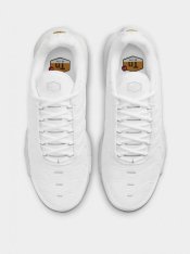 Кросівки Nike Air Max Plus AJ2029-100