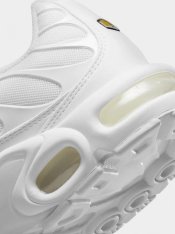 Кросівки Nike Air Max Plus AJ2029-100