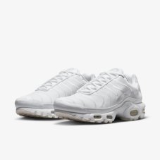 Кросівки Nike Air Max Plus AJ2029-100