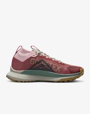 Кросівки бігові жіночі Nike Pegasus Trail 4 GORE-TEX FB2194-600