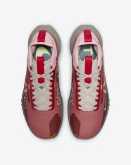 Кросівки бігові жіночі Nike Pegasus Trail 4 GORE-TEX FB2194-600
