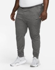 Спортивні штани Nike Therma DQ5405-071