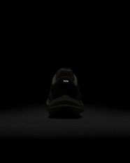 Кросівки бігові Nike Winflo 10 FN7499-029