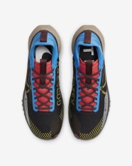 Кросівки бігові Nike Pegasus Trail 4 GORE-TEX DJ7926-003