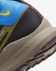 Кросівки бігові Nike Pegasus Trail 4 GORE-TEX DJ7926-003