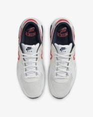 Кросівки Nike Air Max Excee DZ0795-013