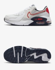 Кросівки Nike Air Max Excee DZ0795-013