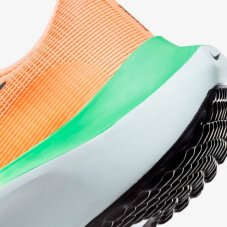 Кросівки бігові жіночі Nike Zoom Fly 5 DM8974-800