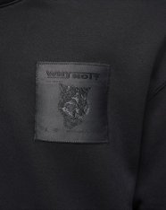 Реглан Jordan Why Not? DX0596-010