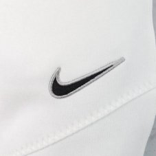 Спортивні штани Nike Sportswear Club Fleece FN0246-100