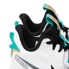 Кросівки Nike Lebron Witness V CQ9380-100