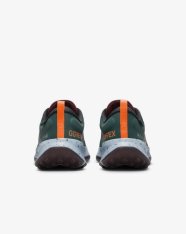 Кросівки жіночі Nike Juniper Trail 2 GORE-TEX FB2067-300