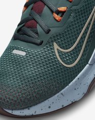 Кроссовки женские Nike Juniper Trail 2 GORE-TEX FB2067-300