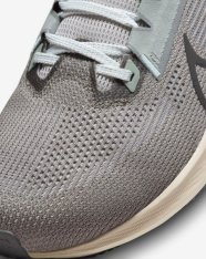 Кросівки бігові Nike Pegasus 40 Premium FN7498-012