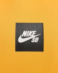 Реглан Nike SB DV8839-739