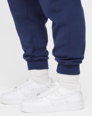 Спортивні штани дитячі Nike Sportswear Club Fleece FD3009-410