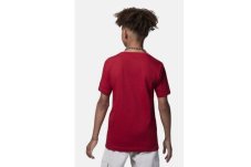 Футболка детская Jordan Air Out 95C815-R78