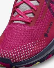 Кросівки жіночі Nike Pegasus Trail 4 GORE-TEX DJ7929-600