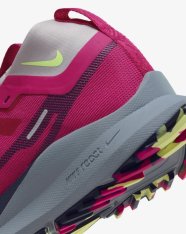 Кроссовки женские Nike Pegasus Trail 4 GORE-TEX DJ7929-600