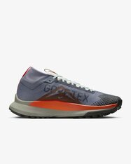 Кросівки бігові Nike Pegasus Trail 4 GORE-TEX DJ7926-006