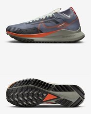 Кросівки бігові Nike Pegasus Trail 4 GORE-TEX DJ7926-006