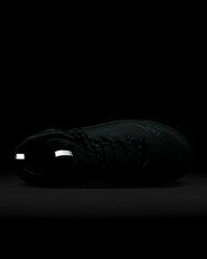 Ботинки Nike ACG Air Zoom Gaiadome GORE-TEX DD2858-300