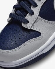 Кеди дитячі Nike Dunk Low FN6968-025
