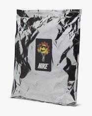 Кеди дитячі Nike Dunk Low FN6968-025