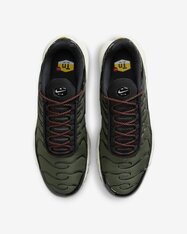 Кросівки Nike Air Max Plus FB9722-300