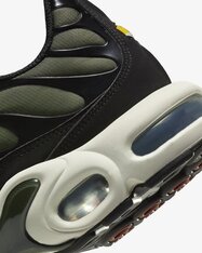 Кросівки Nike Air Max Plus FB9722-300