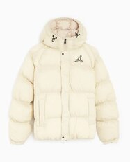 Куртка Jordan Essentials DQ7348-206