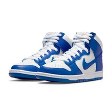 Кеди Nike Dunk High Pro DH7149-400