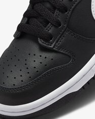 Кеди дитячі Nike Dunk Low FD1232-001