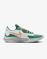 Кроссовки для баскетбола Nike Precision 6 DD9535-103