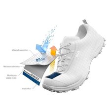 Кроссовки беговые Adidas Terrex Ax4 Gore-Tex HP7395