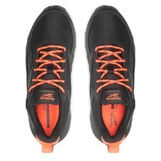 Кроссовки беговые Reebok Ridgerider 6 Gore Tex GW1197