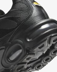 Кроссовки Nike Air Max Plus AJ2029-001