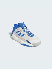 Кросівки Adidas Streetball Ii GX9685