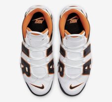 Кросівки Nike Air More Uptempo '96 FJ4416-100